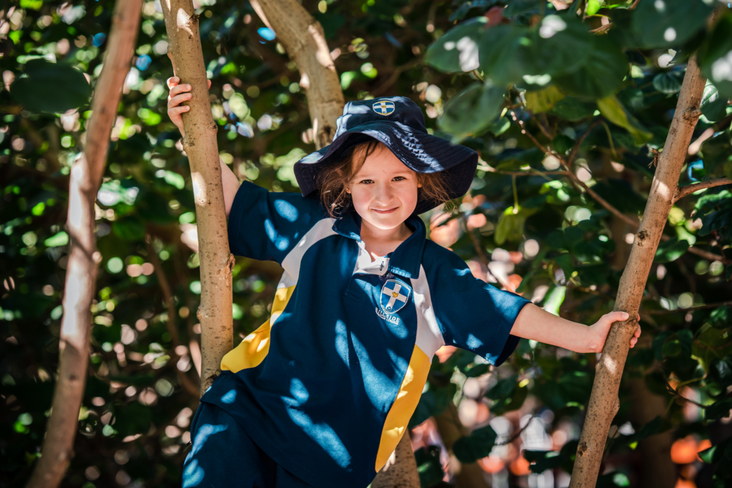 ENROLMENTS - Link to our enrolments webpage